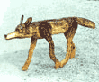 coyote folk art